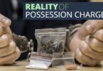 REALITY OF POSSESSION CHARGES...-EdwardLaRue